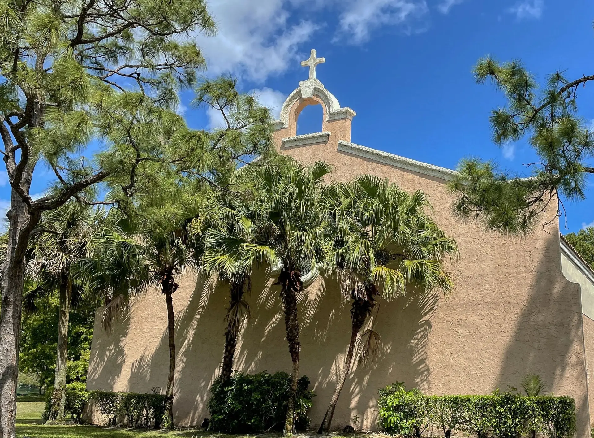 VSP Softwash Com_1c After-min