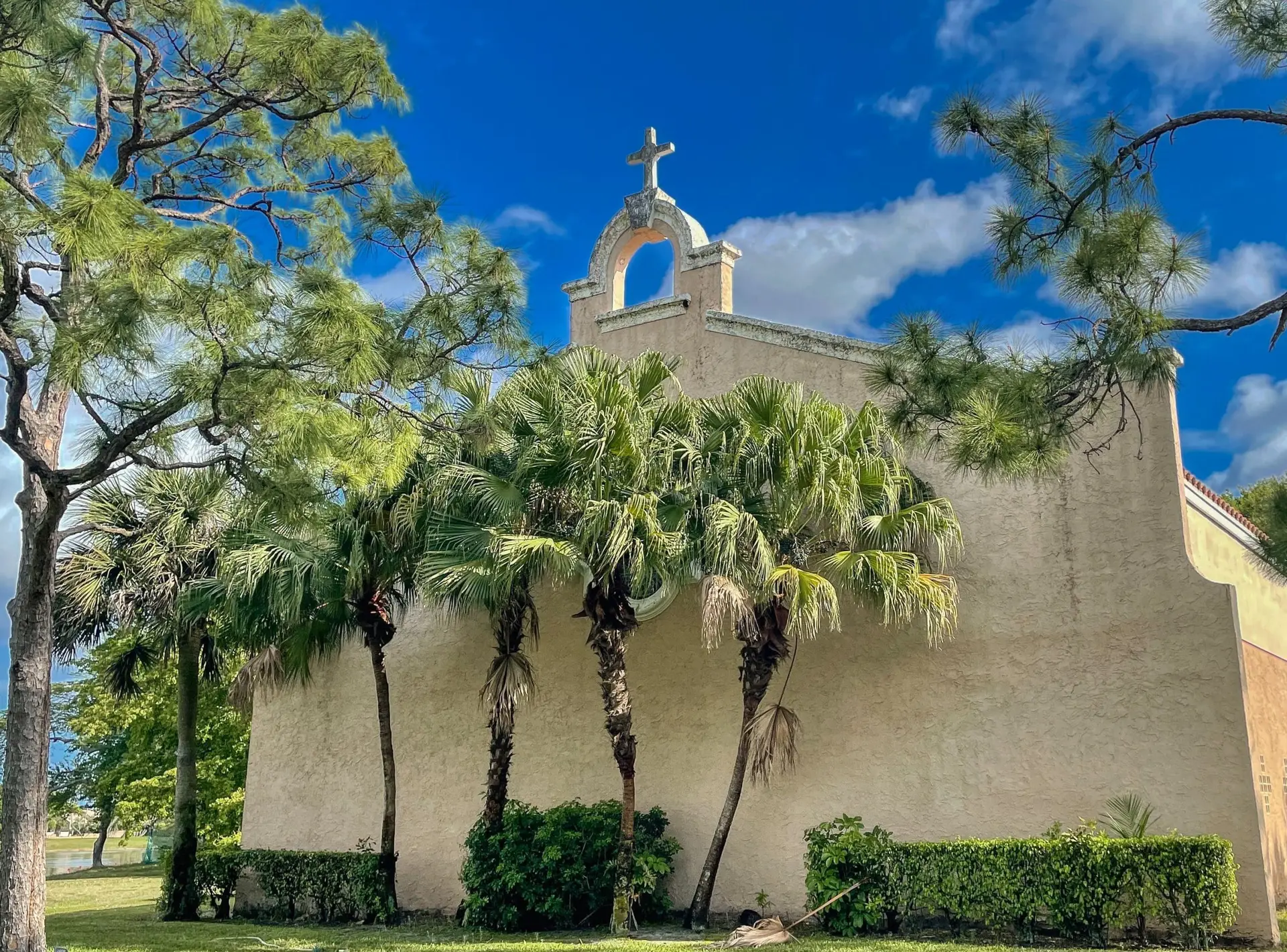 VSP Softwash Com_1c Before-min