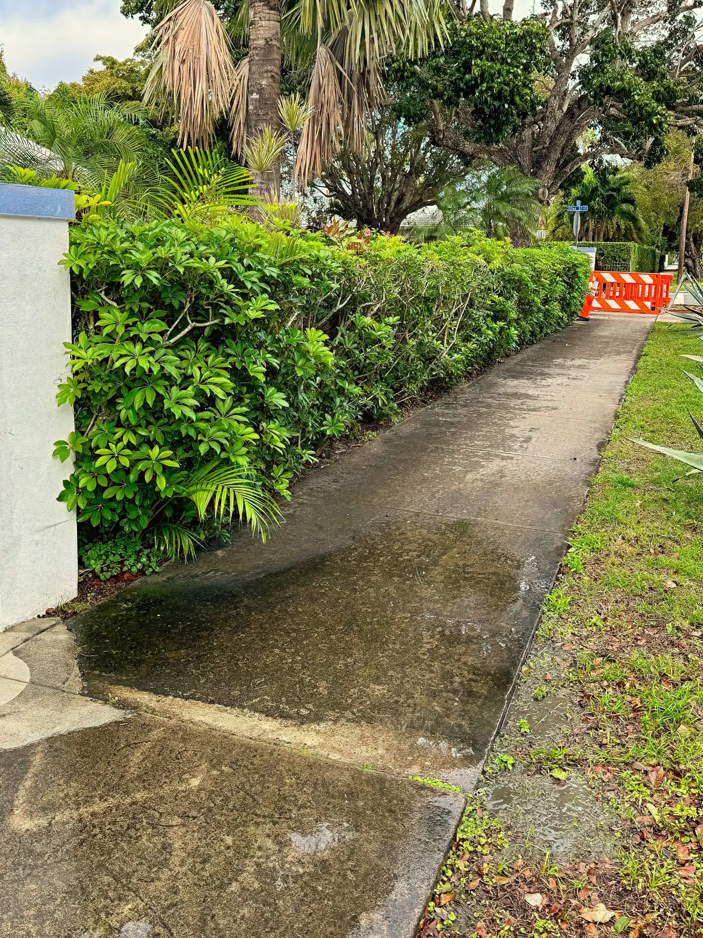 VSP Softwash Concrete Sidewalk_1a-min