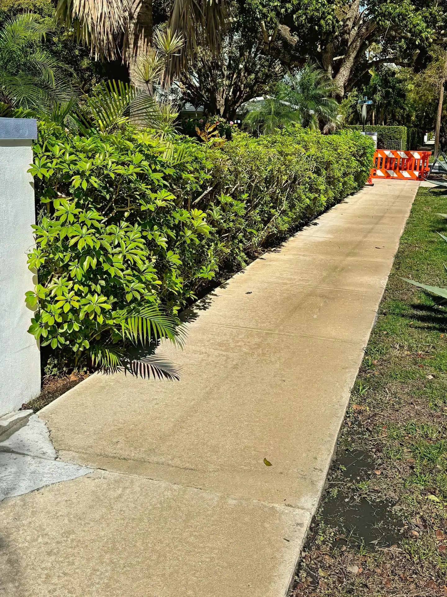 VSP Softwash Concrete Sidewalk_1b-min