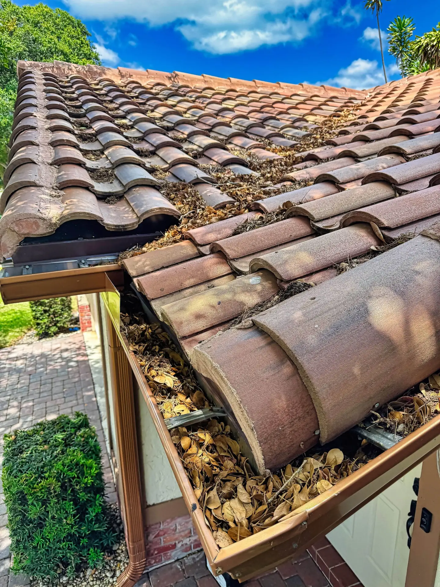 VSP Softwash Gutters_4a Before-min