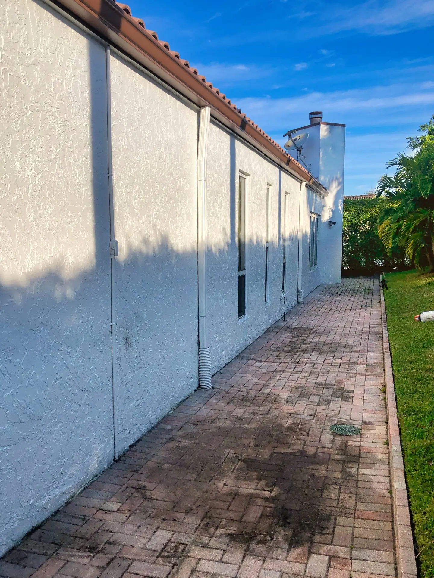 VSP Softwash Walkway_1 Before-min