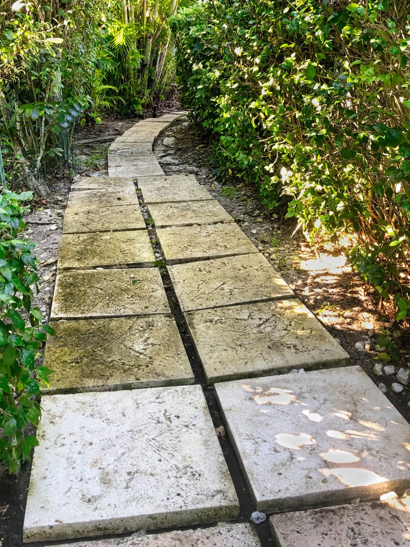 VSP Softwash Walkway_2 Before-min