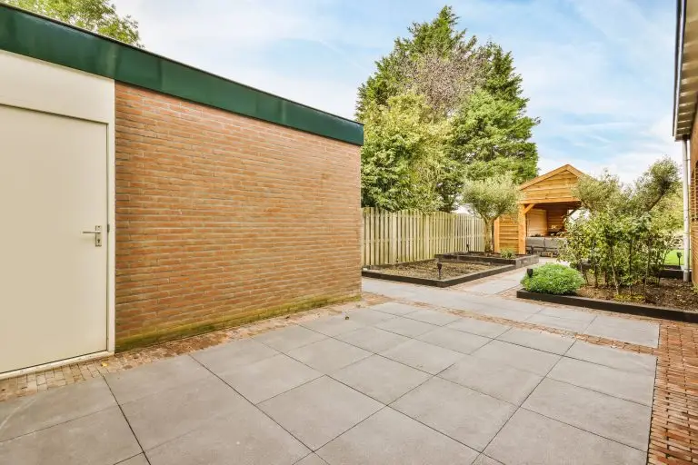 the-backyard-of-the-house-2025-02-10-01-31-53-utc-min