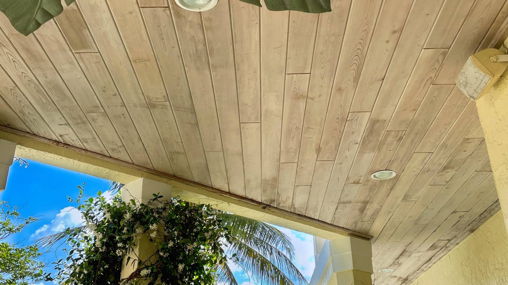 VSP Softwash Ceiling_1 Before-min