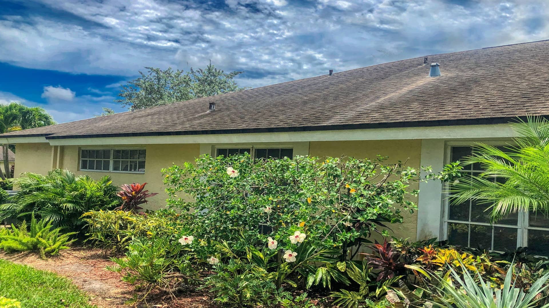 VSP-Softwash-Com_4a-min