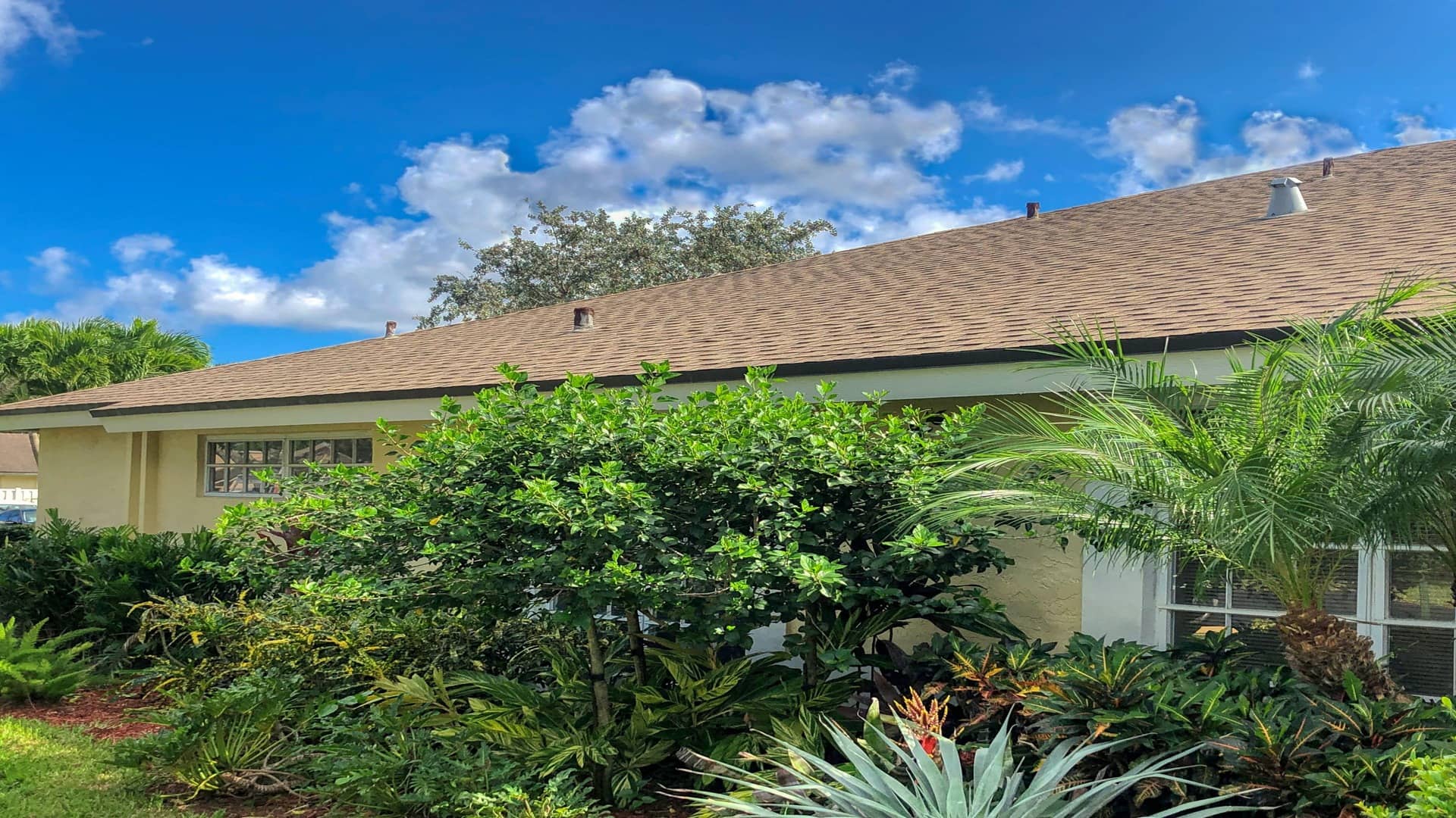 VSP-Softwash-Com_4b-min