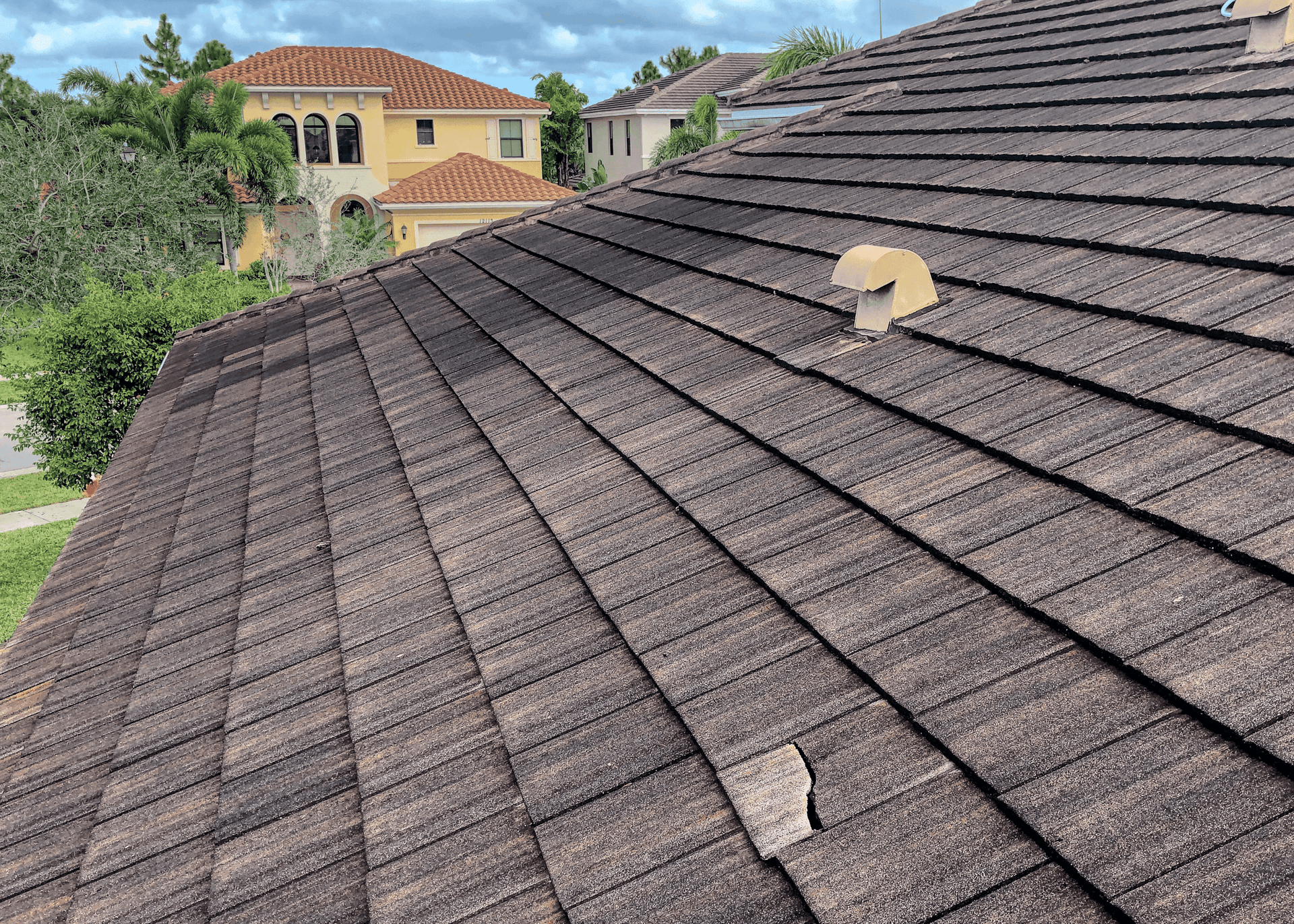 VSP Softwash ConcreteFlat Tile_1a-min (1) (1)