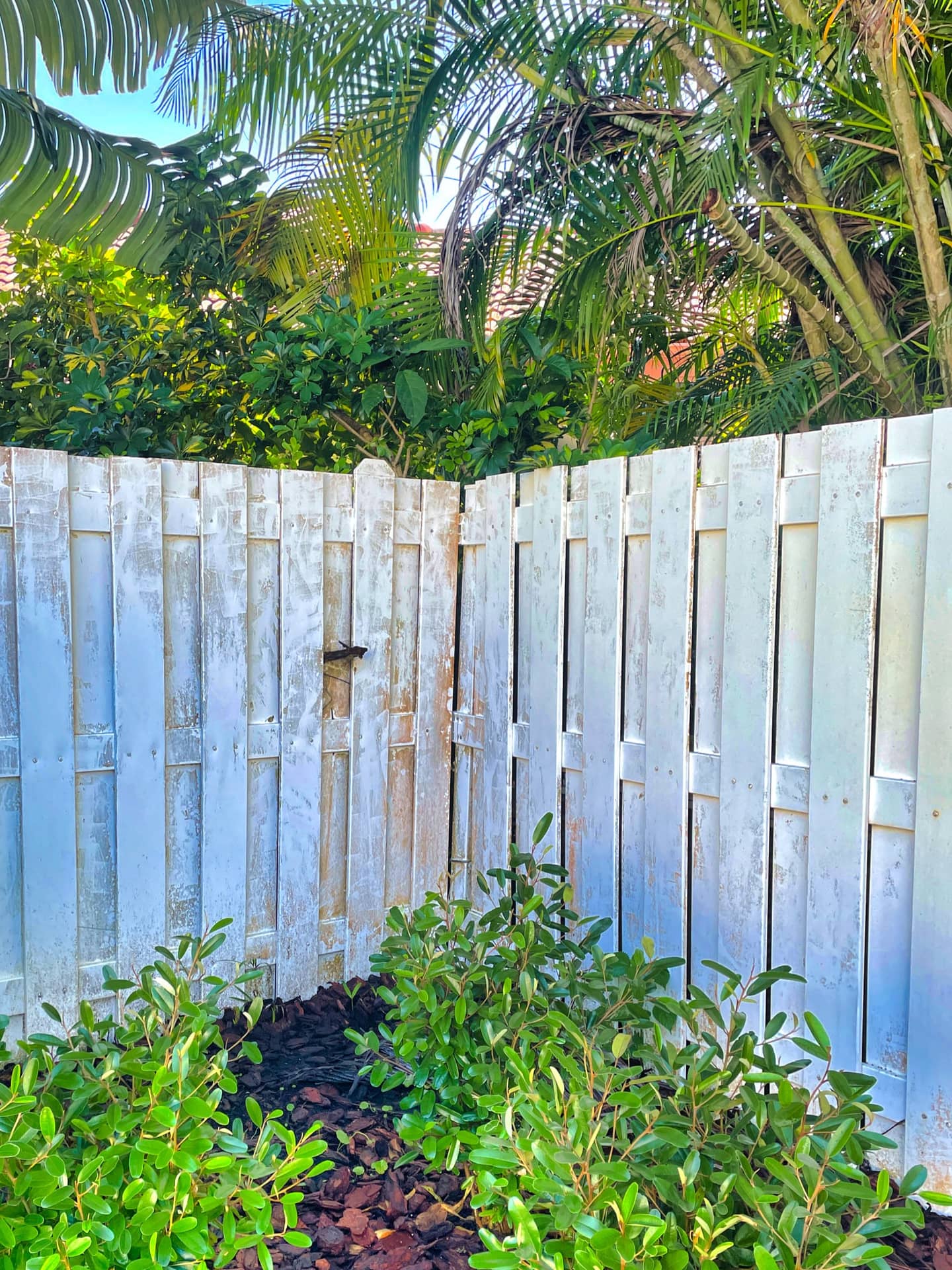 VSP Softwash Fence_1a Before-min