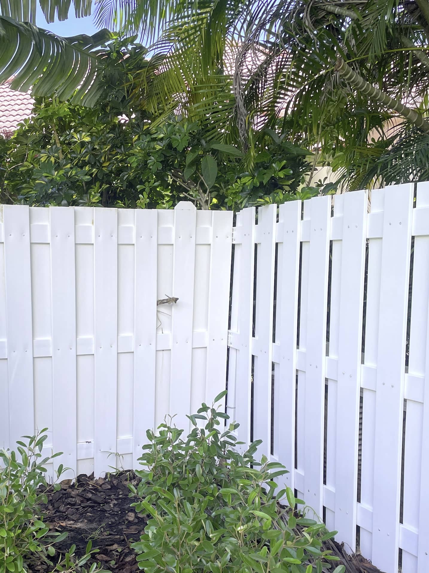 VSP Softwash Fence_1b After-min