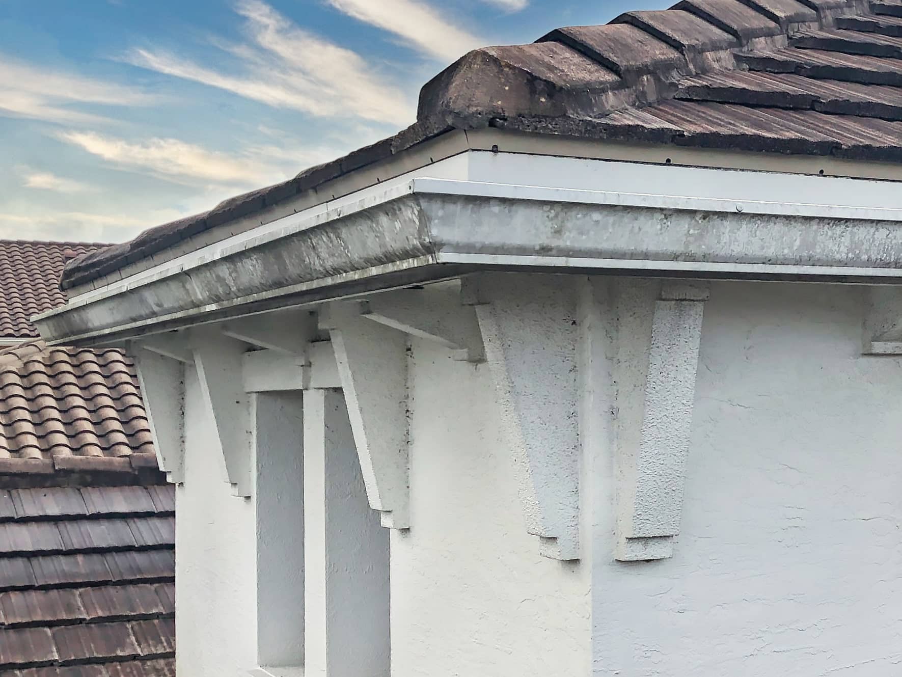 VSP Softwash Gutters_1 Before-min