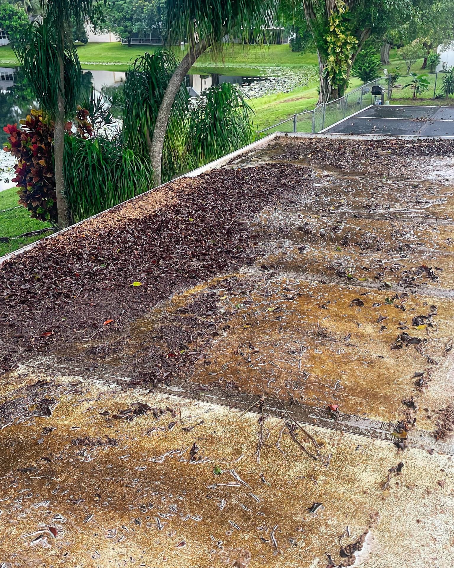 VSP Softwash Gutters_8a-min