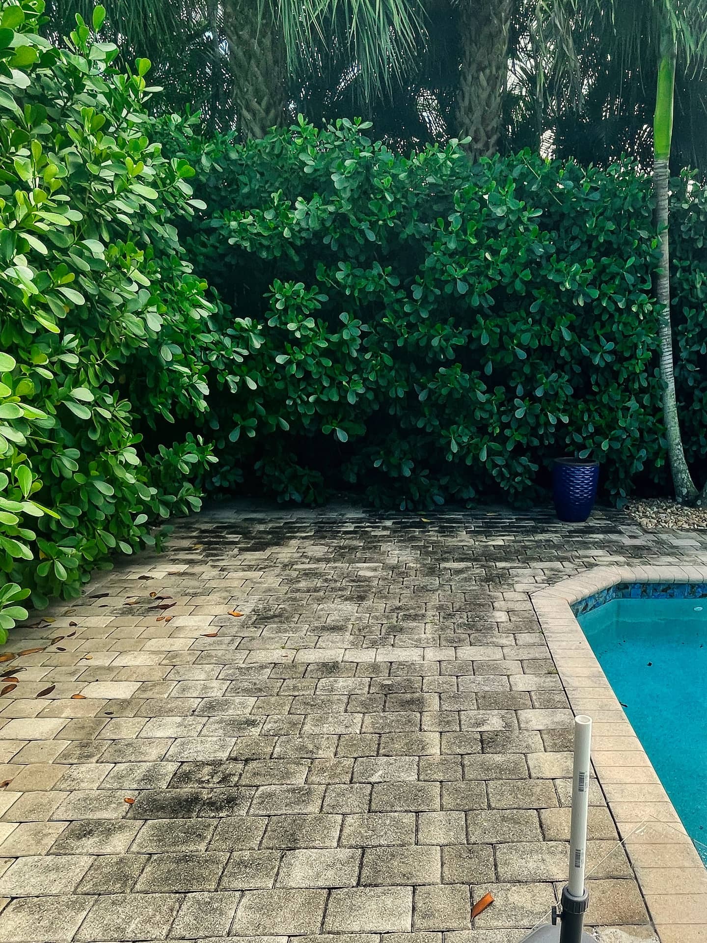 VSP Softwash PoolDeck_3a-min