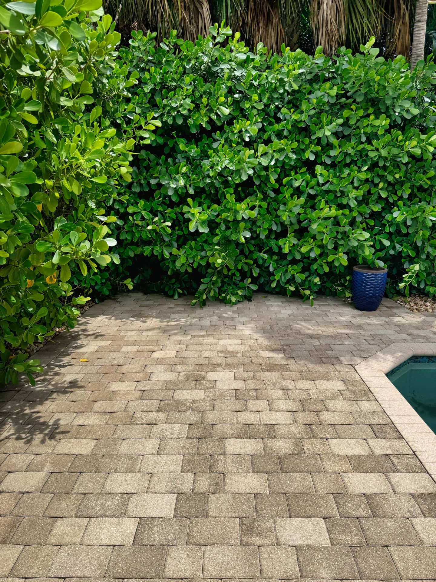 VSP Softwash PoolDeck_3c-min