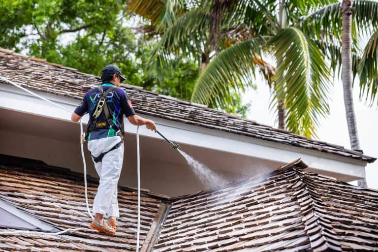 VSP Softwash_ActionRoof_7